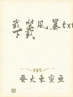 武装风暴txt下载