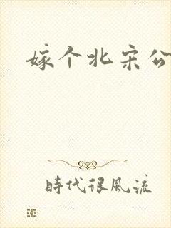 嫁个北宋公务员