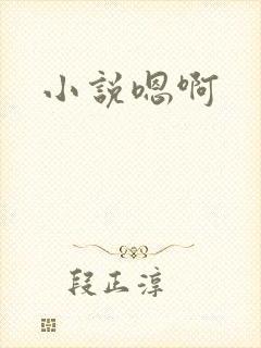小说嗯啊