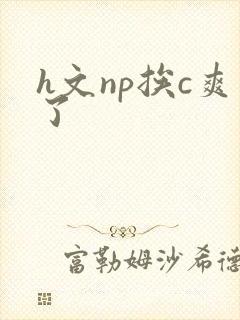 h文np挨c爽了