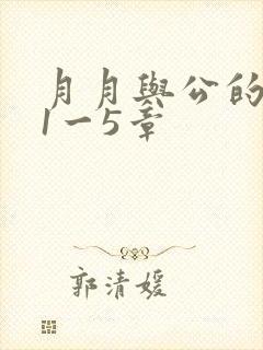 月月与公的激情1一5章