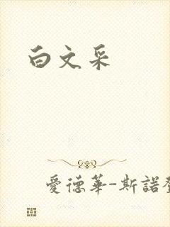 白文采