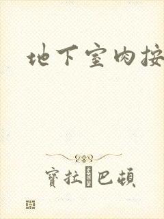 地下室肉按摩椅封面