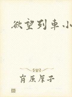 欲望列车小说封面