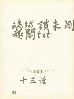 鹅绒锁未删除笔趣阁txt