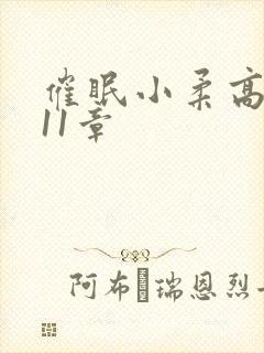 催眠小柔高达第11章