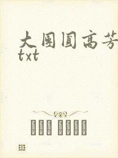 大团圆高芳小说txt
