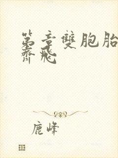 第章双胞胎姐妹齐飞