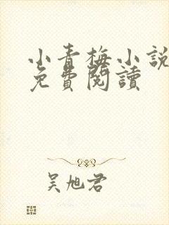 小青梅小说全文免费阅读