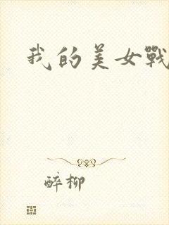 我的美女战队