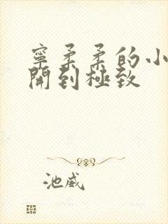 宁柔柔的小泬撑开到极致