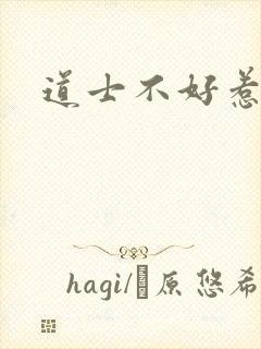 道士不好惹小说封面