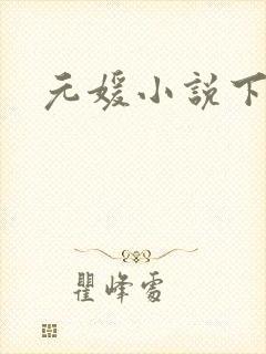 元媛小说下载封面