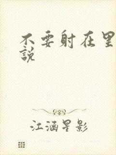 不要射在里面小说封面