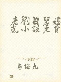 老刘日儿媳妇张岚小说免费阅读