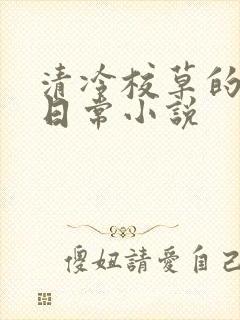 清冷校草的堕落日常小说