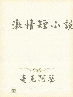 激情短小说