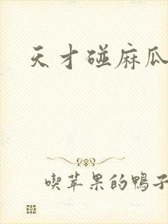 天才碰麻瓜封面