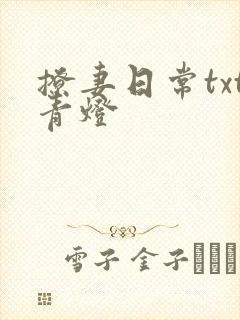 撩妻日常txt青灯