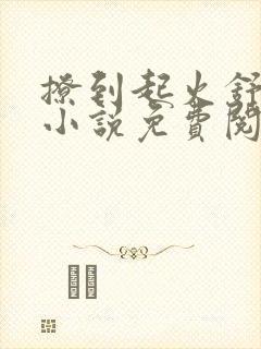 撩到起火舒漾的小说免费阅读全文