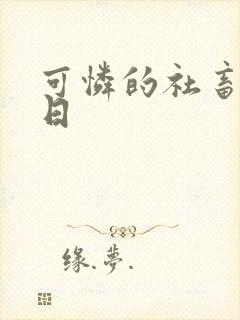 可怜的社畜东度日