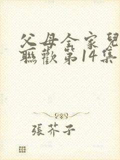 父母全家儿女大联欢第14集封面