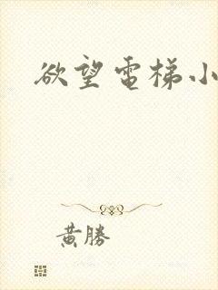 欲望电梯小说封面