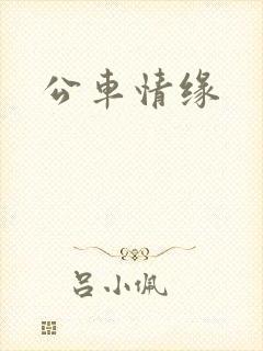 公车情缘封面