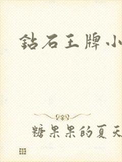 钻石王牌小说封面