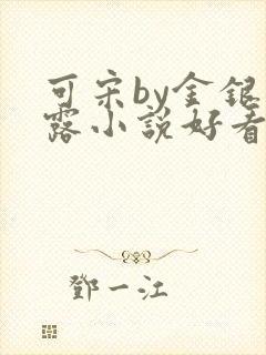 可宋by金银花露小说好看吗