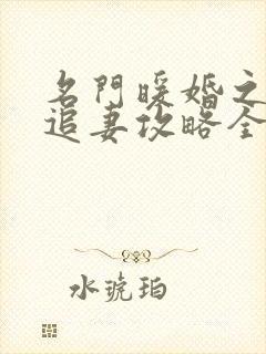 名门暖婚之权爷追妻攻略全文免费阅读