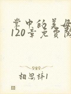 掌中的美母版主120章免费阅读