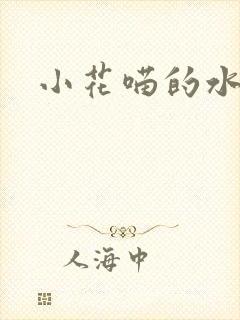 小花喵的水蜜桃封面