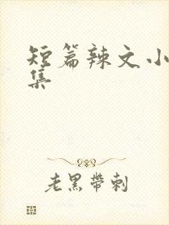 短篇辣文小说合集封面