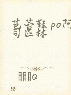 芭蕾鞋 po阿司匹林