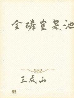 金磷岂是池中物封面