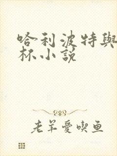 哈利波特与火焰杯小说封面