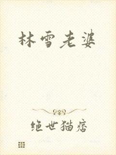 林雪老婆封面