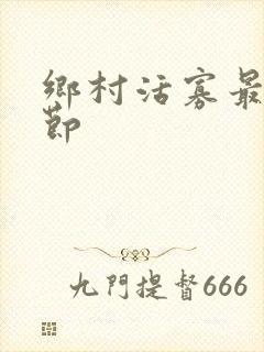 乡村活寡最新章节