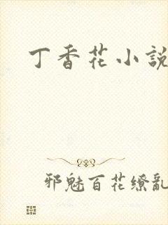 丁香花小说