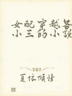 女配穿越各个做小三的小说
