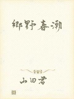 乡野春潮封面
