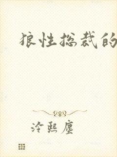 狼性总裁的尤物封面