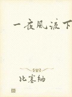 一夜风流下载封面