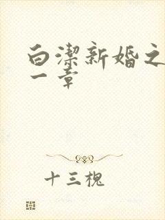 白洁新婚之夜第一章
