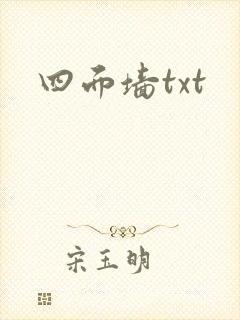 四面墙txt