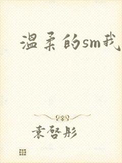 温柔的sm我
