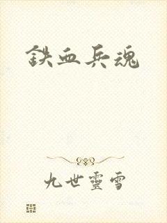 铁血兵魂封面