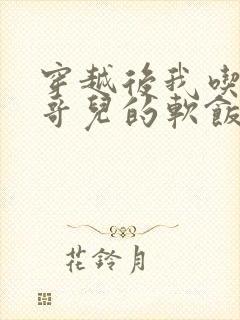 穿越后我吃到了哥儿的软饭炉山灰