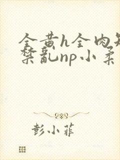 全黄h全肉短篇禁乱np小柔